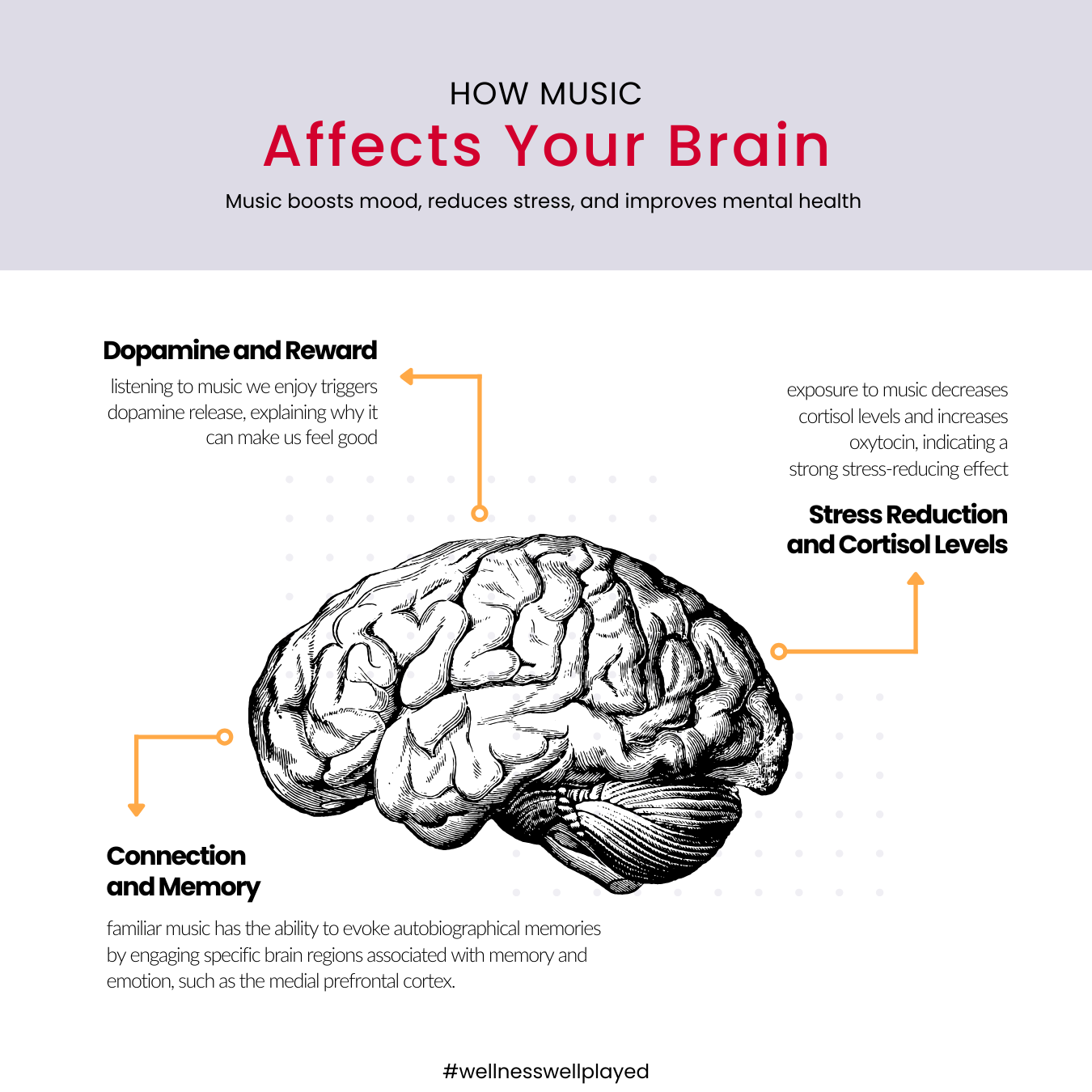 Infographic showing how music affects your brain with three key areas highlighted: Dopamine and Reward, Stress Reduction and Cortisol Levels, and Connection and Memory. Features detailed anatomical brain illustration with connecting arrows to each benefit.